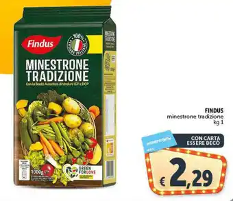 Deco Supermercati FINDUS minestrone tradizione kg 1 offerta