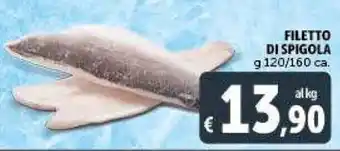 Deco Supermercati FILETTO DI SPIGOLA g 120/160 ca. offerta