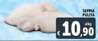 Deco Supermercati SEPPIA PULITA offerta