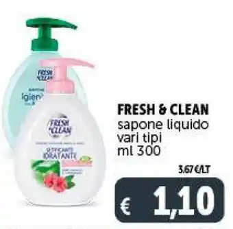Deco Supermercati FRESH & CLEAN sapone liquido vari tipi ml 300 offerta