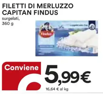 Ipercoop FILETTI DI MERLUZZO CAPITAN FINDUS surgelati, 360 g offerta