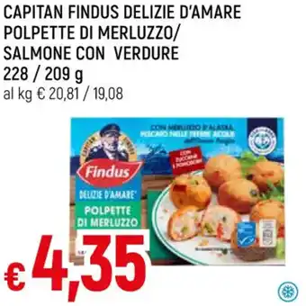 Galassia CAPITAN FINDUS DELIZIE D'AMARE POLPETTE DI MERLUZZO/ SALMONE CON VERDURE 228/209 g offerta