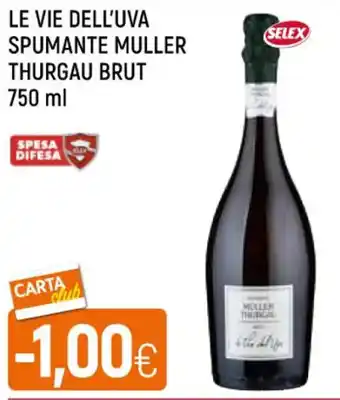 Galassia LE VIE DELL'UVA SPUMANTE MULLER THURGAU BRUT 750 ml offerta