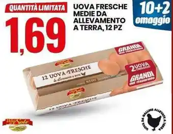 Eurospin Uova Fresche Medie da Allevamento a Terra, 12pz offerta