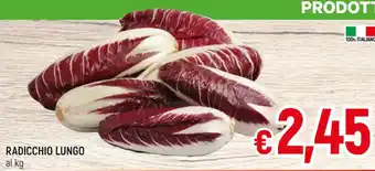 Famila Market RADICCHIO LUNGO al kg offerta