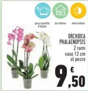 Conad ORCHIDEA PHALAENOPSIS offerta