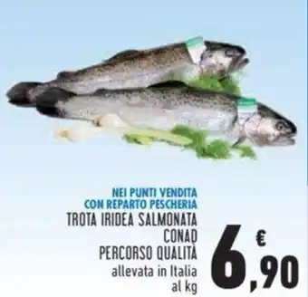 Conad TROTA IRIDEA SALMONATA CONAD PERCORSO QUALITA offerta