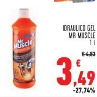 Conad IDRAULICO GEL MR MUSCLE 1 l offerta