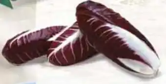 Coop RADICCHIO ROSSO PRECOCE offerta