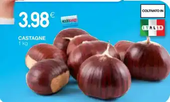 Coop CASTAGNE 1 kg offerta
