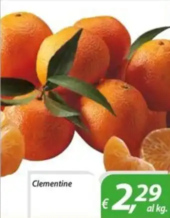 DiMeglio Clementine offerta