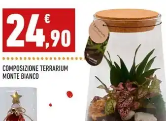 Composizione terrarium monte bianco