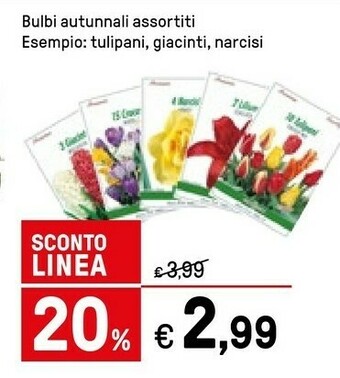 Iper La Grande Piante offerta