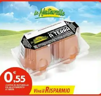 Vivo Supermercati Le Naturelle 2 Uova Grandissime A Terra offerta
