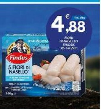 Vivo Supermercati Findus Nasello offerta