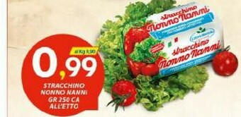 Vivo Supermercati Nonno Nanni Stracchino offerta