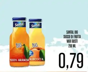 SANTAL BIG SUCCO DI FRUTTA VARI GUSTI 250 ML