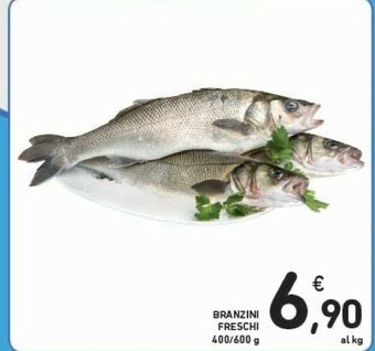 Conad Branzini Freschi offerta