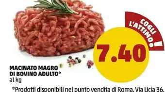 PENNY Macinato Magro Di Bovino Adulto offerta