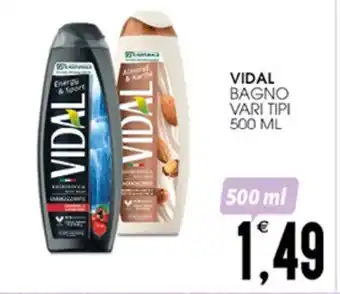 SpesAmica VIDAL BAGNO VARI TIPI 500 ML offerta