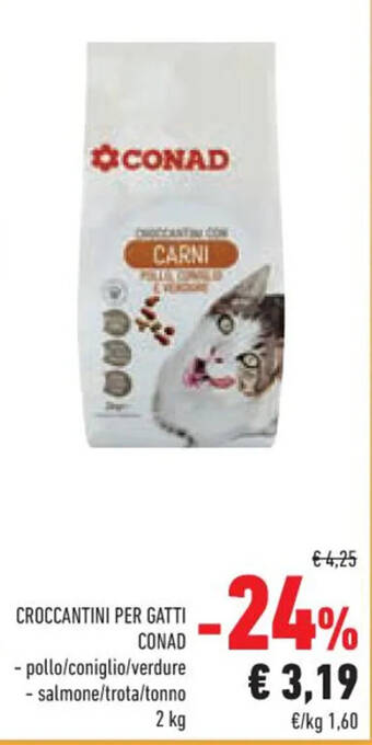 Conad CROCCANTINI PER GATTI CONAD 2 kg offerta
