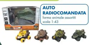 MD Discount AUTO RADIOCOMANDATA offerta