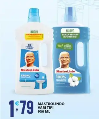 Sisa MASTROLINDO VARI TIPI 930 ML offerta