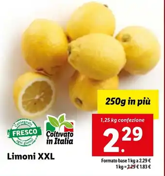 Lidl Limoni XXL 250 g offerta