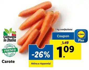 Lidl Carote 1 kg confezione offerta