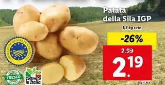 Patata della Sila IGP 1,5 kg rete