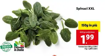 Lidl Spinaci XXL 650 g confezione offerta