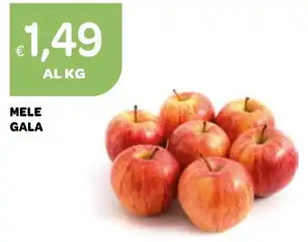 Ekom MELE GALA offerta