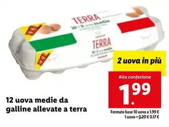 Lidl 12 uova medie da galline allevate a terra offerta