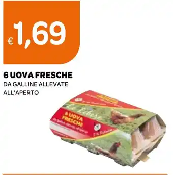 6 UOVA FRESCHE DA GALLINE ALLEVATE ALL'APERTO