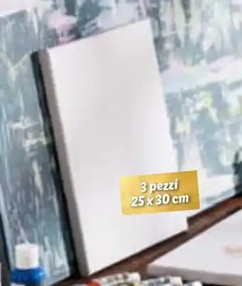 Lidl crelando Tela per dipingere, 1, 2 o 3 pezzi offerta