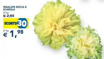 INSALATE RICCIA E SCAROLA