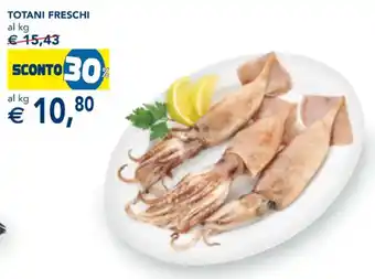 Esselunga TOTANI FRESCHI offerta
