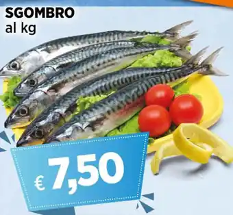 Ipercoop SGOMBRO al kg offerta