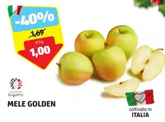 ALDI MELE GOLDEN offerta