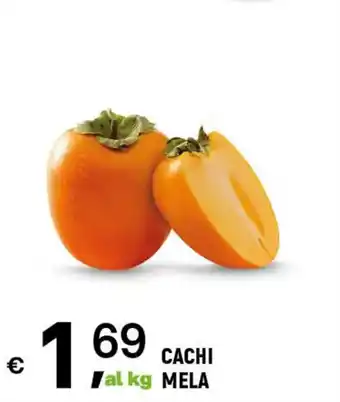 A&O CACHI MELA offerta