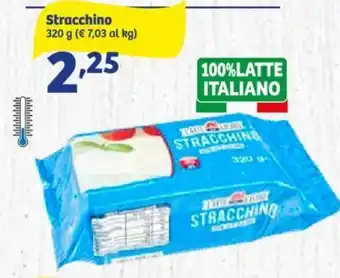 In'S Mercato Stracchino 320 g offerta