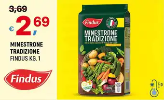 A&O MINESTRONE TRADIZIONE FINDUS KG. 1 offerta