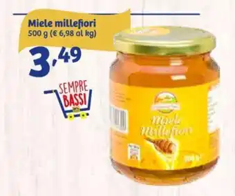 In'S Mercato Miele millefiori 500 g offerta
