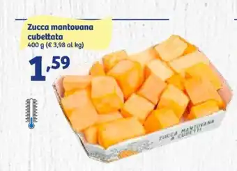 In'S Mercato Zucca mantovana cubettata 400 g offerta
