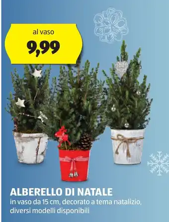 ALDI ALBERELLO DI NATALE offerta