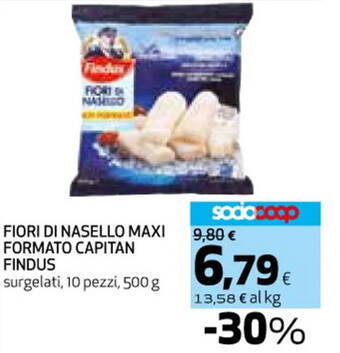 Ipercoop FIORI DI NASELLO MAXI FORMATO CAPITAN FINDUS 500 g offerta