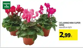 Ipercoop CICLAMINO MINI SUPER SERIE offerta