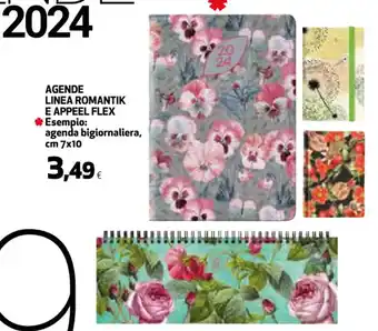 Ipercoop AGENDE LINEA ROMANTIK E APPEEL FLEX cm 7 x 10 offerta