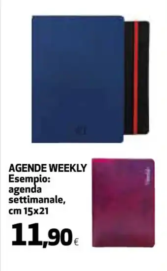 AGENDE WEEKLYAGENDE WEEKLY Esempio: agenda settimanale, cm 15x21 cm 15x21
