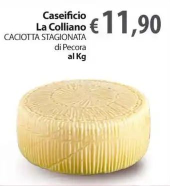 Caseificio La Colliano CACIOTTA STAGIONATA di Pecora